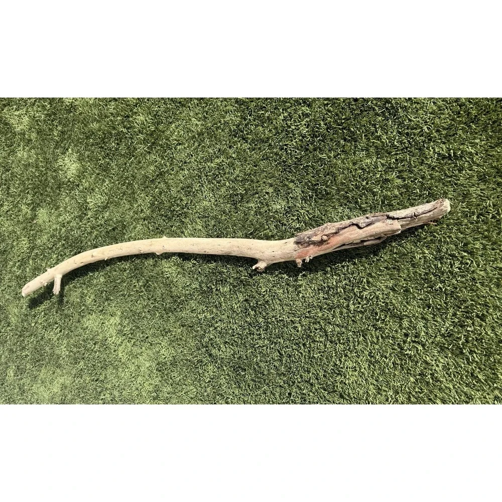 DRIFTWOOD Pacific Ocean California Natural Aquarium Terrarium Use (X-Large) 54